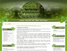 Tablet Screenshot of ebrufeyizoglu.com